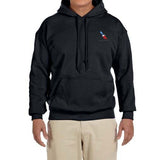 American Airlines 2013 AA Logo Hooded Sweatshirt