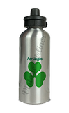Aer Lingus Logo Aluminum Water Bottle