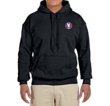 American Airlines 1930's AA Logo Hooded Sweatshirt
