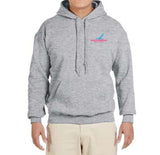 Piedmont Airlines Logo Hooded Sweatshirt