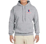 American Eagle Logo Hooded Sweatshirt