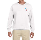 American Airlines 2013 AA Logo Sweatshirt