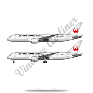Japan Airlines 787 Round Coaster