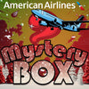 American Airlines Mystery Box! - Limited Edition