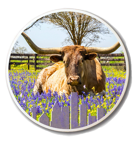 Longhorn & Bluebonnets Magnet