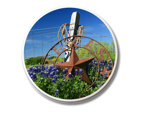 Texas Star & Bluebonnets Magnet