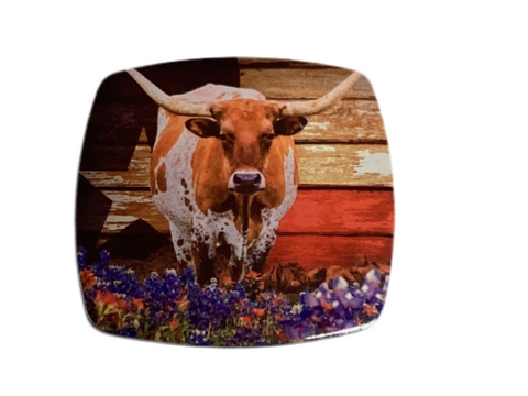 Magnets - Texas Themed