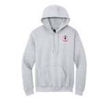 American Airlines 1962 AA logo embroidered hooded sweatshirt in gray, front view with left chest patch