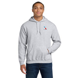 Man wearing ash grey American Airlines 2013 logo embroidered pullover hoodie, front view