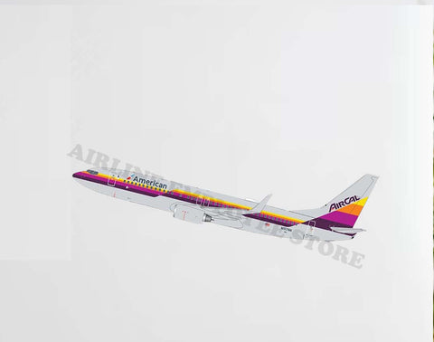 Aircal Boeing 737 Heritage Decal Stickers