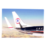 American Airlines Astrojet - Linen Placemats (A SET OF 4)