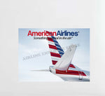 American Airlines 2013 Tail "Something Special In The Air" Decal Stickers