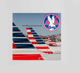 American Airlines 2013 tail with 60's Logo Decal Stickers