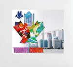 American Airlines Toronto Canada Poster Decal Stickers