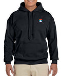 Pride 2013 American Airlines Logo LEFT CHEST Hooded Sweatshirt