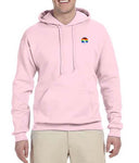 Pride 2013 American Airlines Logo LEFT CHEST Hooded Sweatshirt