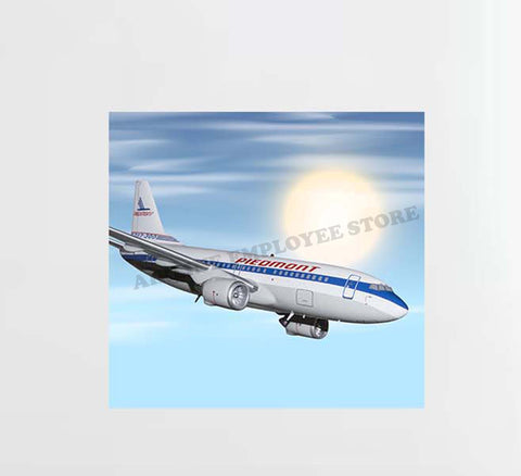 Pidemont Airlines Flight Decal Stickers