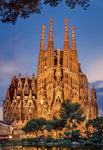 Sagrada Familia Educa Puzzle (1,000 pieces)