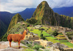 Machu Picchu, Peru Educa Puzzle (1,000 pieces)