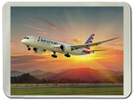 American Airlines 787 Glass Cutting Board