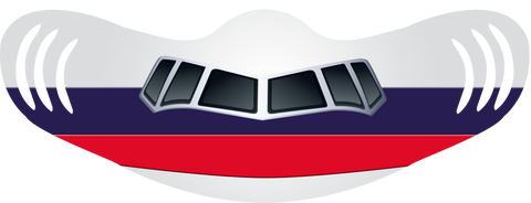 Old Delta Livery Airplane Face Mask