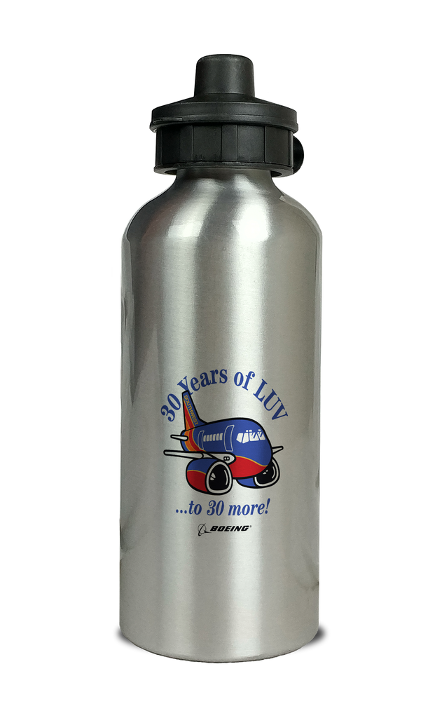 Can You Take a Stainless Steel Water Bottle on an Airplane?