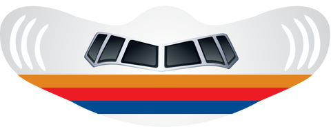 Old UA Tulip Livery Airplane Face Mask